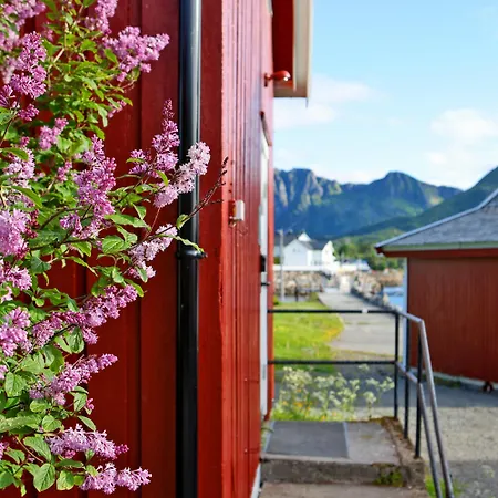 Astra Village - Waterfront Rorbu In Lofoten